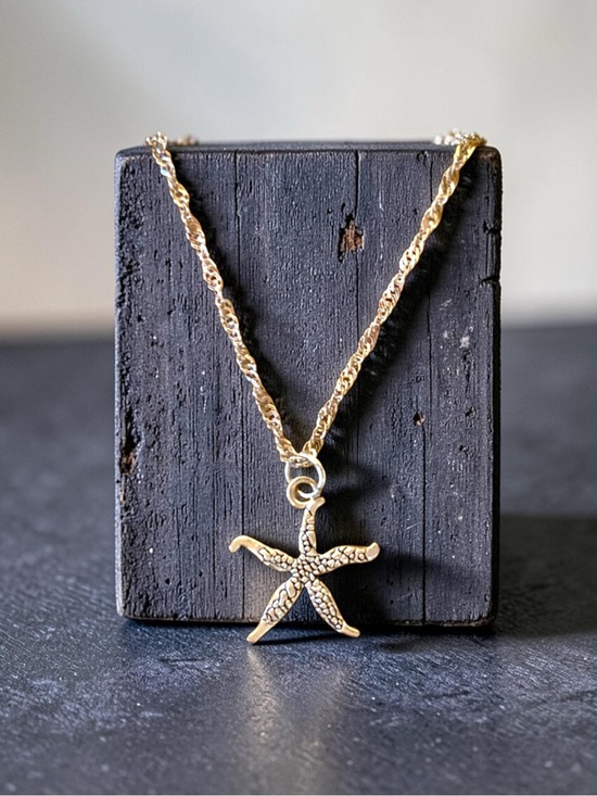 Alaska wild Rose designs￼ Jewelry - Silver Starfish Pendant Necklace for Women Elegant Beach charm pendant. Handmade